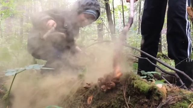 Гриб дождевик или дедушкин табак смотреть онлайн