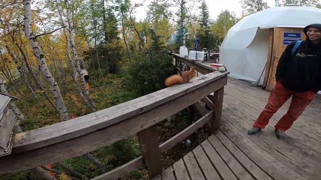 День 88. Вокруг да около мамонта. Обломки корабля и 400 кубов ... смотреть онлайн