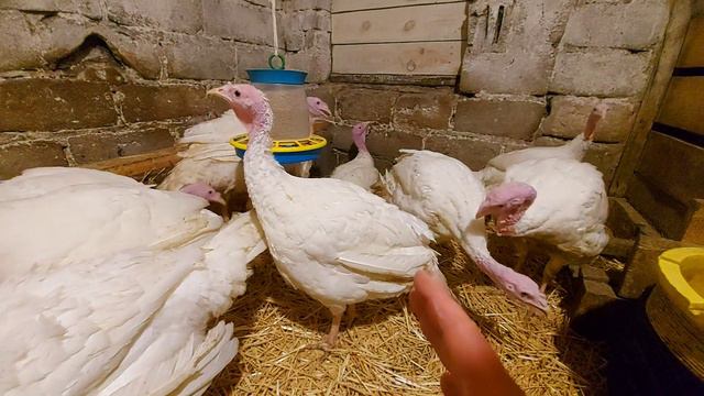 теперь всё так как нужно! смотреть онлайн