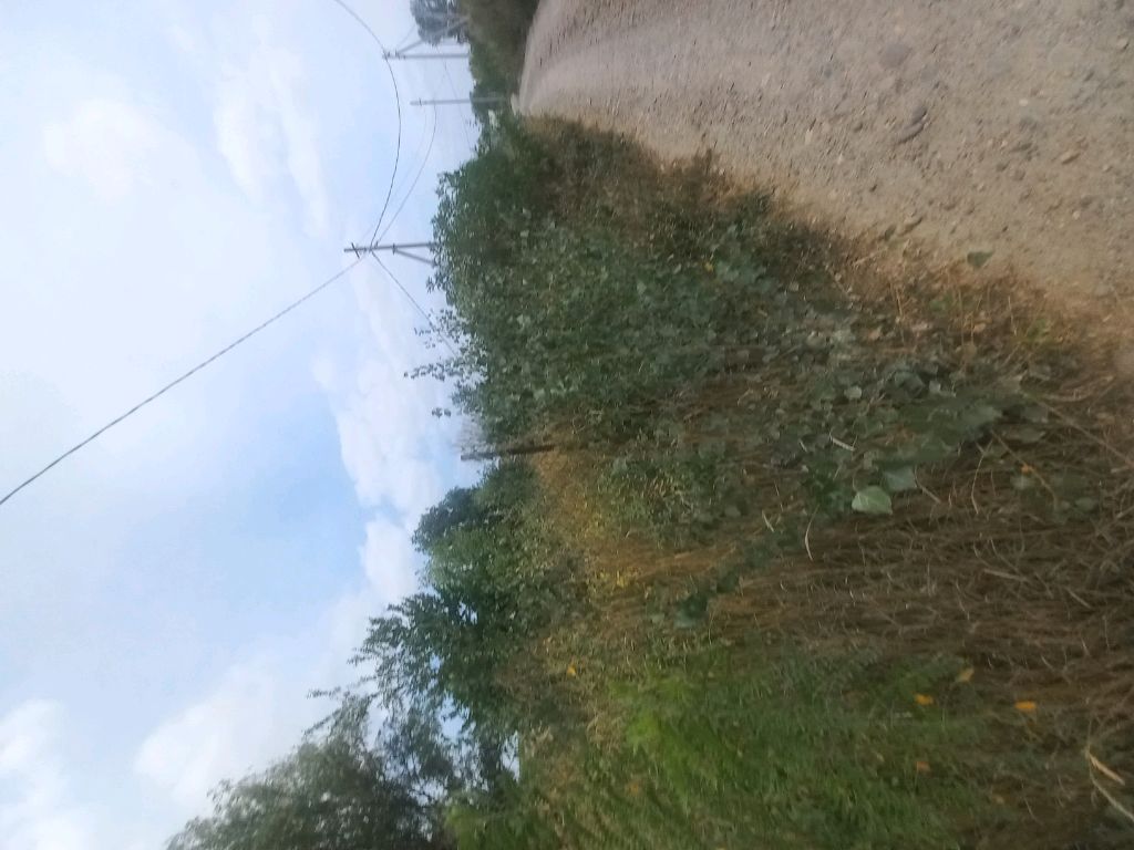 обзор