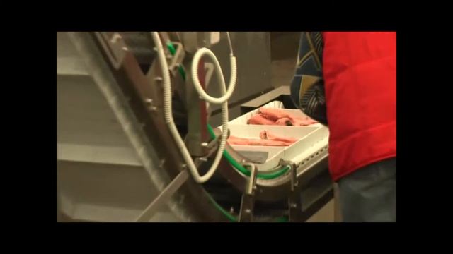 Фасовка мороженной рыбы смотреть онлайн