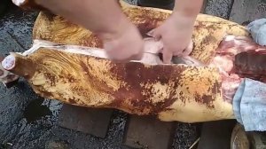 Разделка поросёнка, подробно. Разделываю сама.