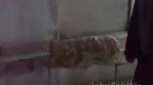 Как и зачем выпускают воздух в централизованной системе отопления многоквартирного дома