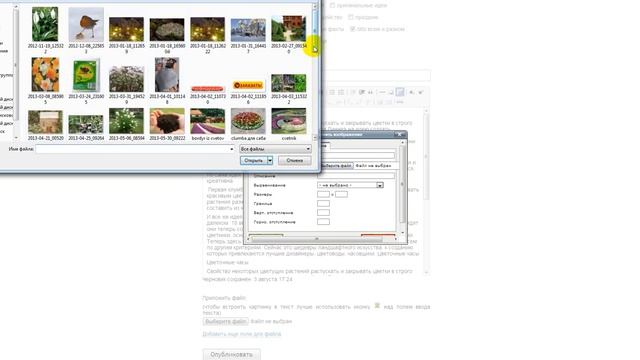 Как опубликовать статью на Subscribe смотреть онлайн