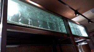 Токио море - монтаж аквасистемы завершен.