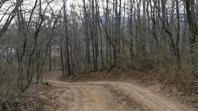 Замечательное село Краснолесье.