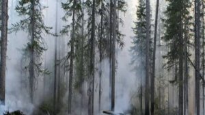 ЮИД за Победу благодарит Шк 33