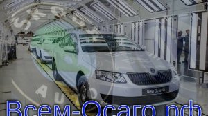 Volkswagen и Skoda остановили свой бизнес в России