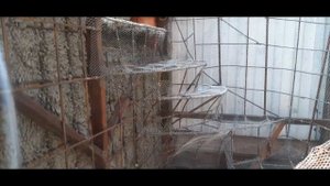 Арт Бетон + Каркас + Сетка | Art Concrete + Frame + Mesh