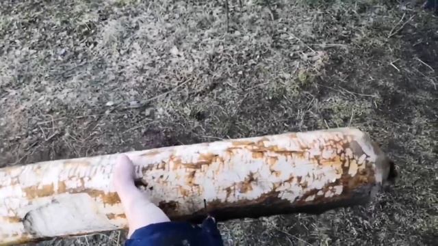 Ломаем плотины БОБРОВ/ Посиделки под гитару/ Лететь - Омега смотреть онлайн