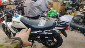 Новый лот в продаже, десна фантом 220