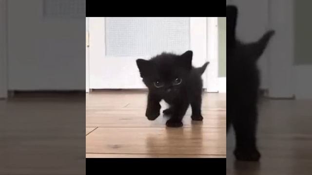 Видео для рекомендации