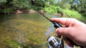 Десна. Мормышинг в начале августа.mp4