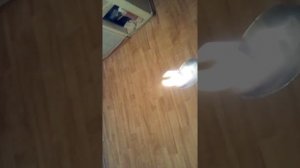 Спирт 96 градусов лучшее