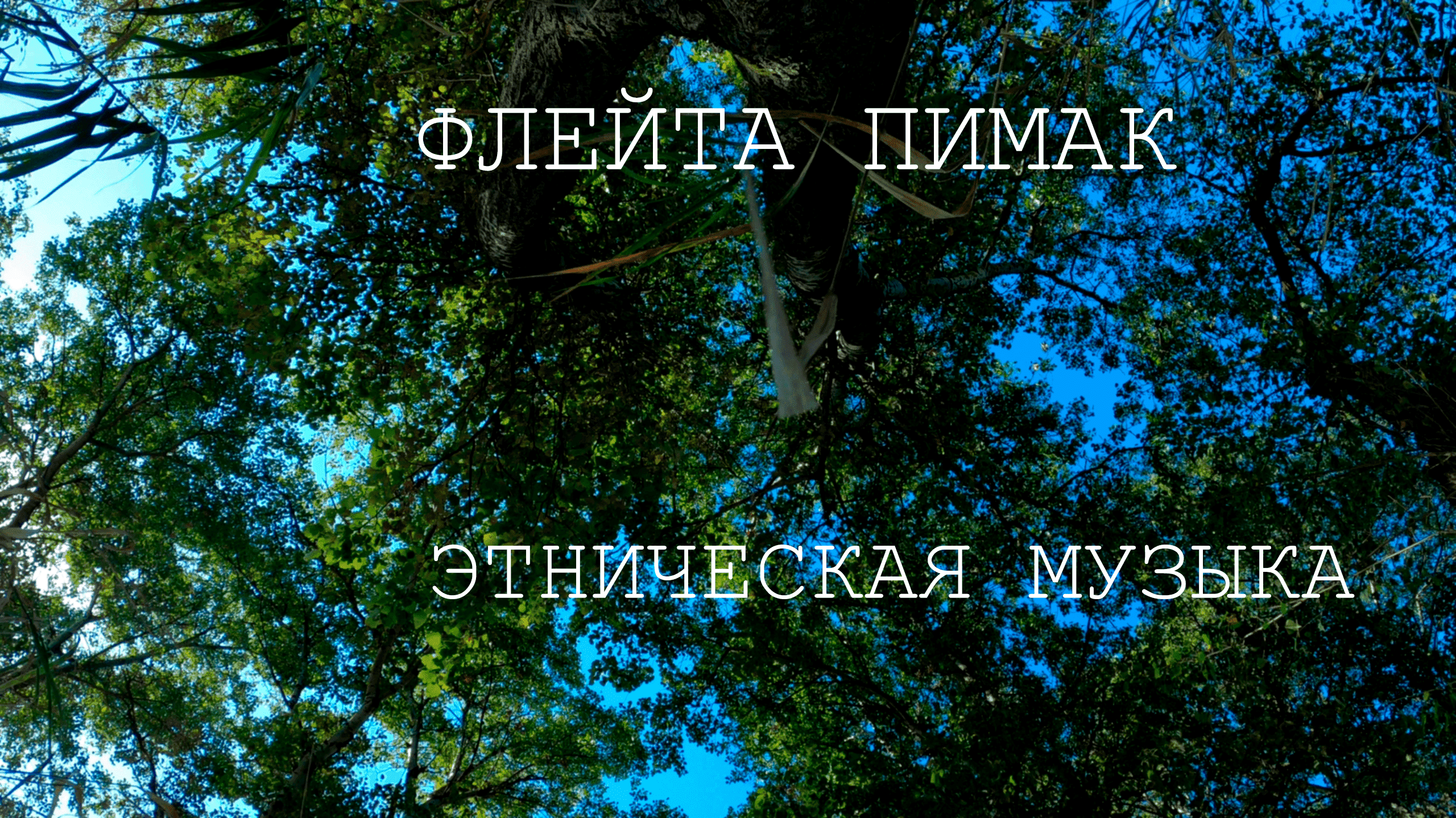 Флейта Североамериканских Индейцев / У подножия Тополей / Этническая музыка и пение птиц