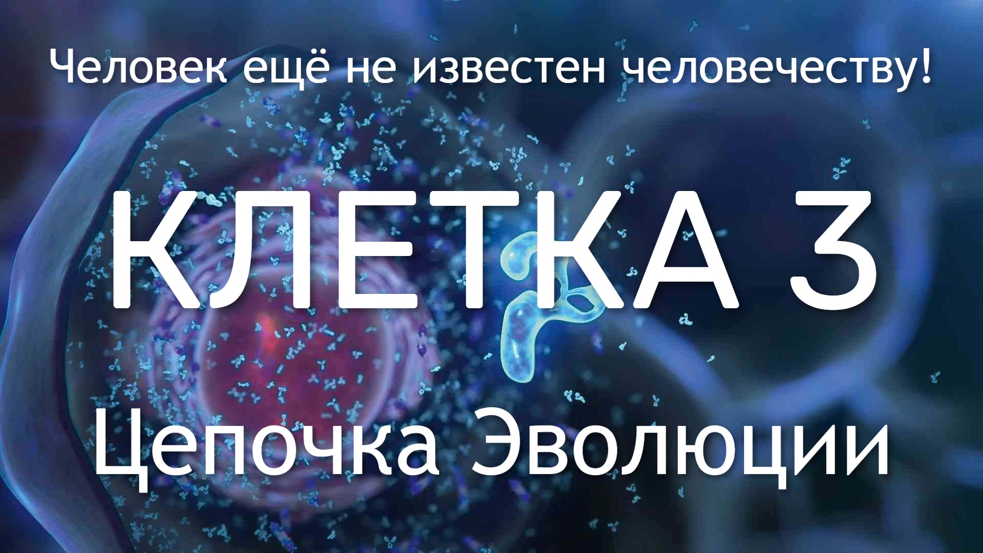 КЛЕТКА 3. ЦЕПОЧКА ЭВОЛЮЦИИ.