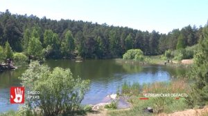 В Челябинской области на берегу озера нашли череп человека