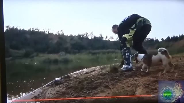 Лучшие в мире электроприводы и управление / ВНИМАНИЕ АП, ФСБ, ФСО, МО, МЧС и граждан смотреть онлайн