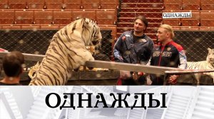 Великолепные братья Запашные и большая чистая любовь Александра Олешко  | «Однажды…»