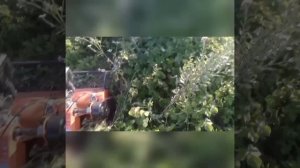 пополнение. RX900!!!