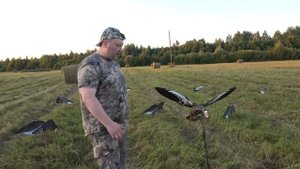 Гусиный махокрыл Duck Mania от North Way!