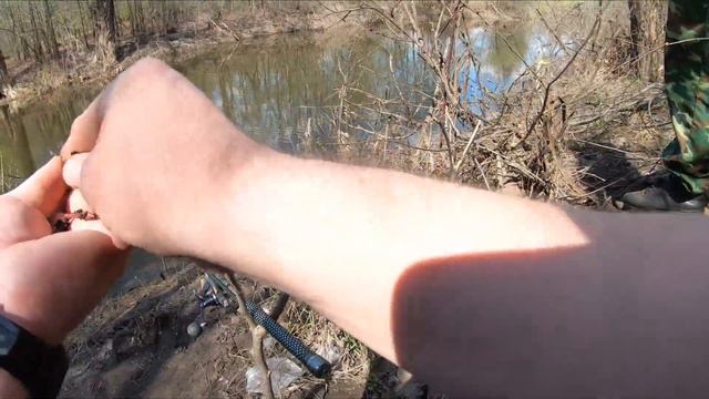 Рыбалка на лесной речке
