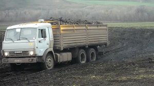 SanyaBARS. Возка сахарной свеклы.