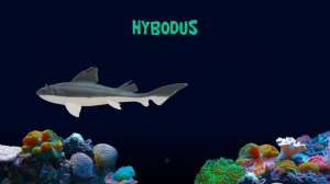 Sharks and Prehistoric Sea Life Collection - The Kids' Picture Show (Fun & Educational)