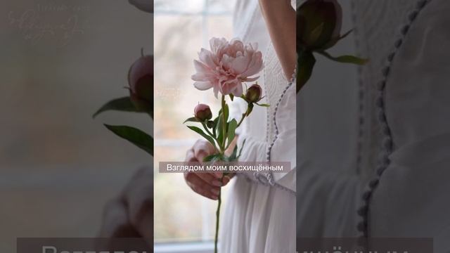 ✨Послание Вселенной - Кутайся в нежность любви… смотреть онлайн