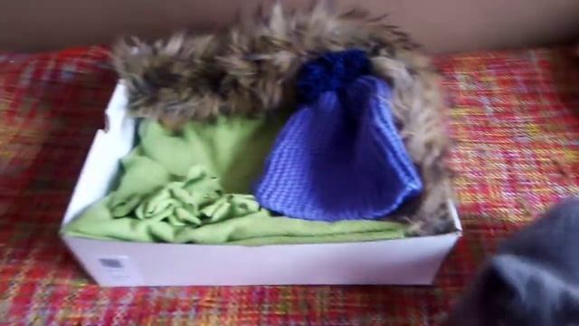 ЛЕЖАНКА ИЛИ КОРОБКА? ЧТО ПОДОЙДЁТ ДЛЯ КОТЕНКА? смотреть онлайн