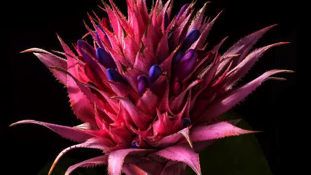 Слушать свежую русскую песню про любовь онлайн смотреть онлайн