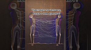 Чувствует ли человек, когда о нём думают?