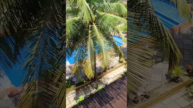 Обзор индийской квартиры | Гоа осень 2023 Юг смотреть онлайн