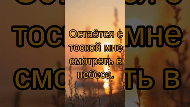 🔴 Стирает все время... #мудрость #цитата #афоризмы