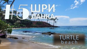 Sri Lanka. #5. Turtle beach+supermarket