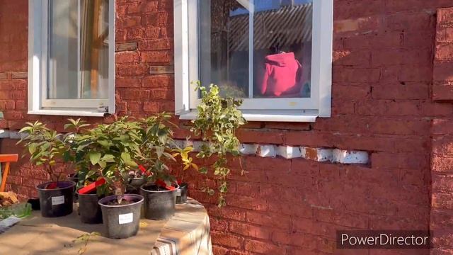 Разбираем участок, наводим порядок смотреть онлайн