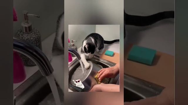 1000002413.mp4 смотреть онлайн