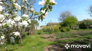 ДОМ НА ЮГЕ у реки/ Краснодарский край/ Цена 2 млн.₽