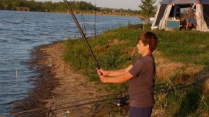 Кореновск. Карпов ловят в селе Братковском