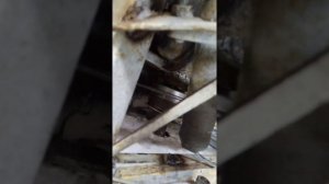 Самодельный двухгусеничный снегоход