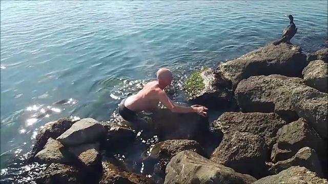 Однажды у моря. смотреть онлайн