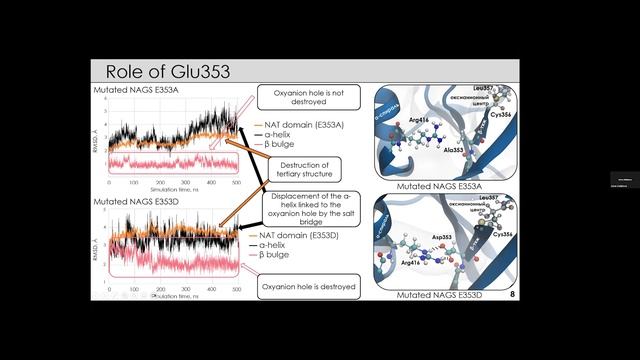 MOLECULAR MODELING OF GLUTAMATE ACYLATION MECHANISM IN THE ACTIVE SITE OF N ACETYLGLUTAMATE SYNTHAS смотреть онлайн
