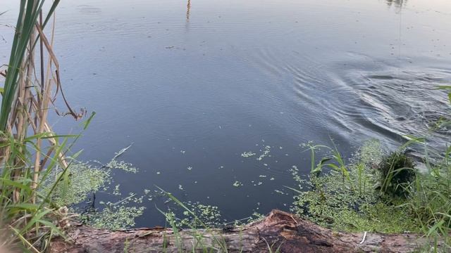 06-09-2023 смотреть онлайн