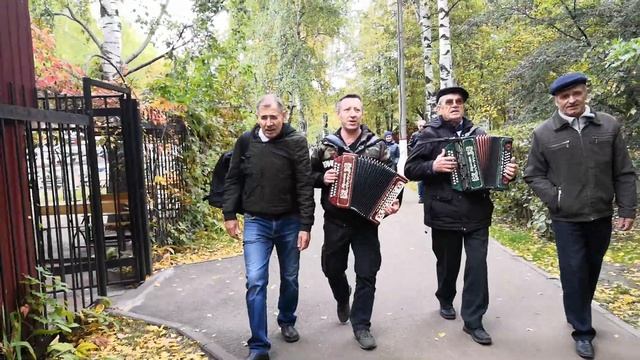 Листья Жёлтые. смотреть онлайн