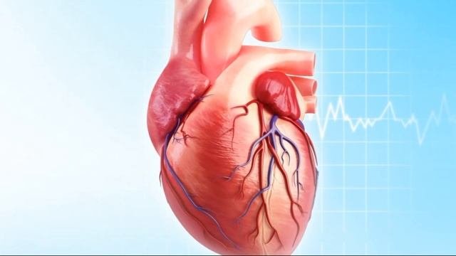 ОПАСНЫЕ СИМПТОМЫ ТРОМБОВ | 4 признака тромбов это проявляется на коже