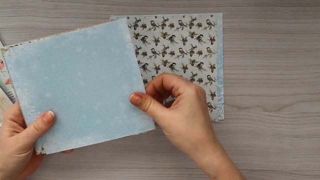 Покупки для творчества за февраль (СкрапКладовая, Амазон и др)