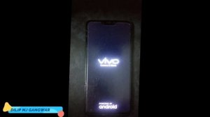 CHECK MODEL NUMBER OF LOCKED VIVO PHONES