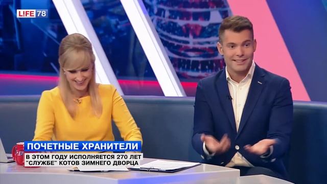 «Службе» котов-хранителей Эрмитажа исполняется 270 лет смотреть онлайн