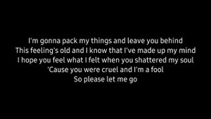 The Walters - I Love You So (Acoustic Karaoke)