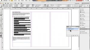 Create a Customised Bullet List in Adobe InDesign